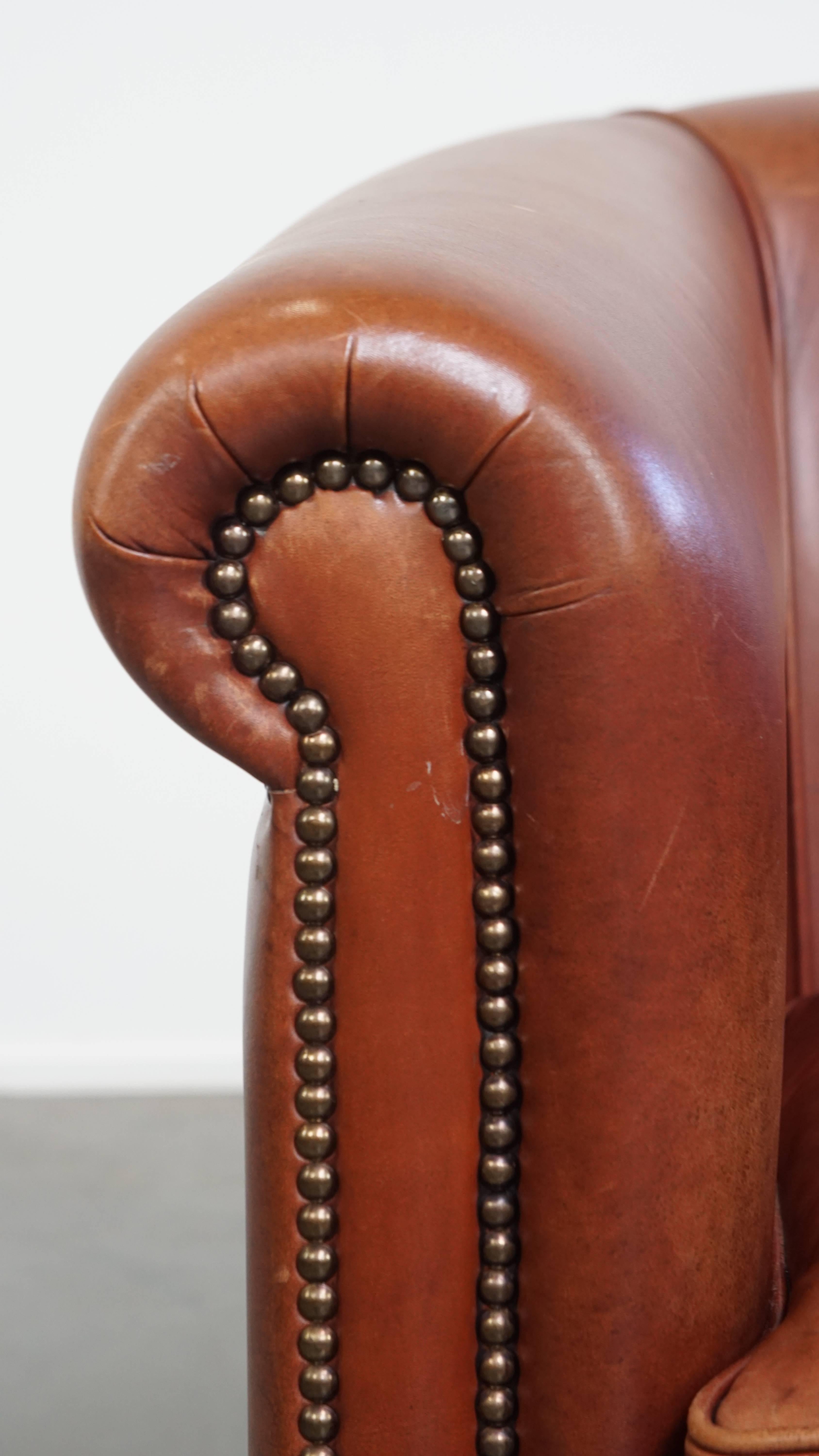 Cowhide Leather Club Armchair in a Cognac Color For Sale 5