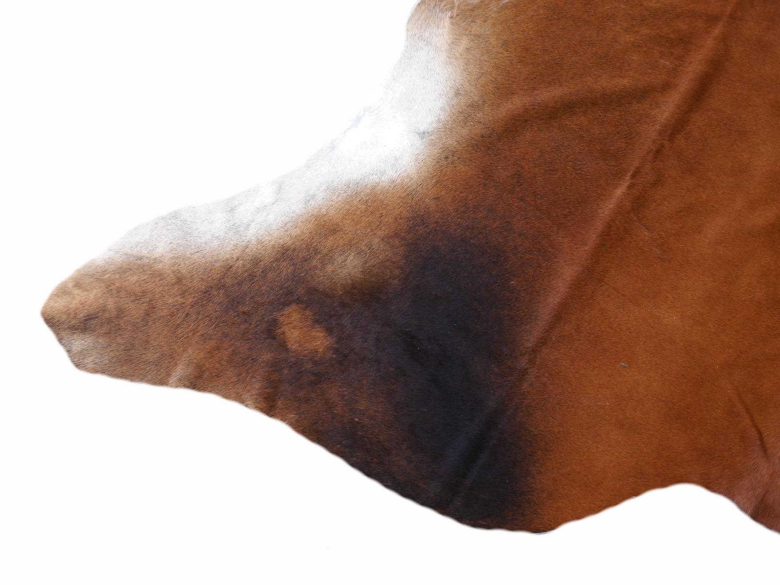 Cowhide Rug Brown Extra Large Size 4