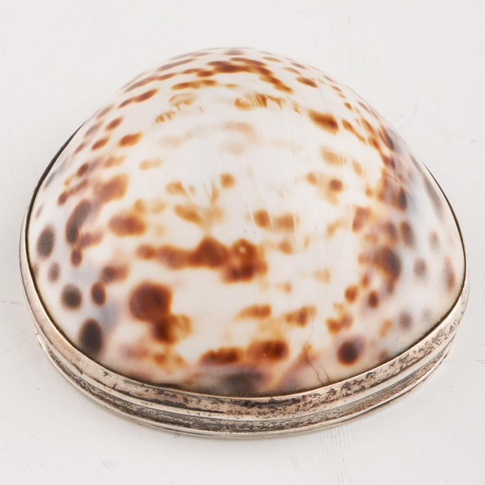Regency Cowrie Shell Snuff Box c1820 For Sale