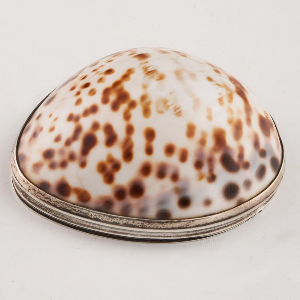 British Cowrie Shell Snuff Box c1820 For Sale
