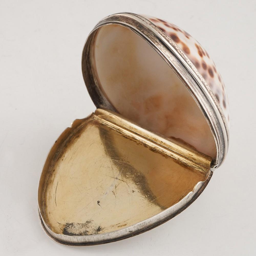 Britannico Tabacchiera con conchiglia di cowrie del 1820 circa in vendita