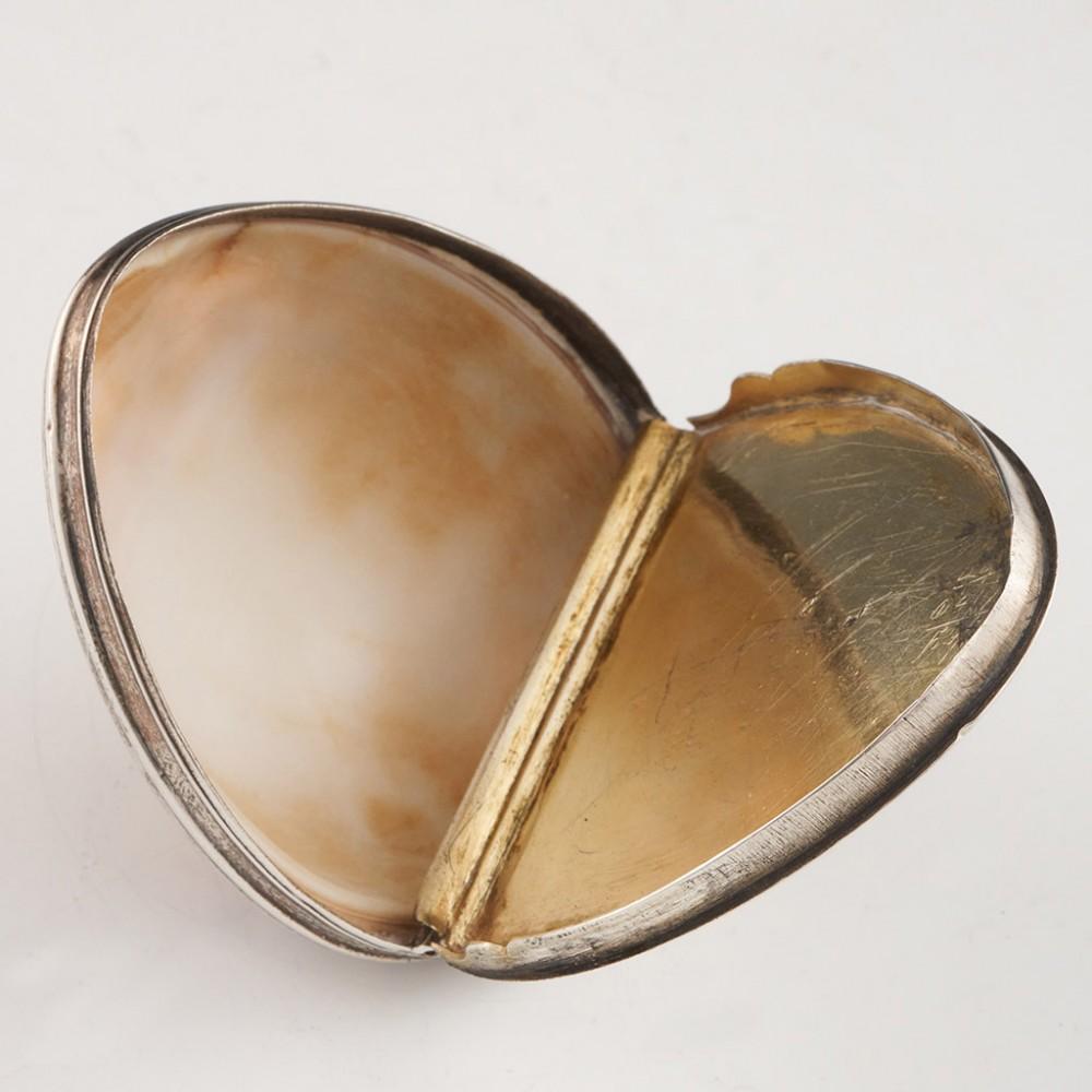 Early 19th Century Cowrie Shell Snuff Box c1820 For Sale