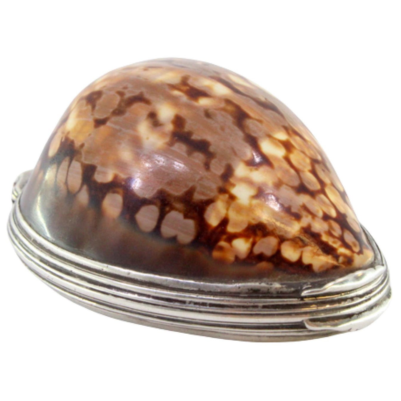 Cowrie shell snuff box with flaming-heart silver relief, George II period