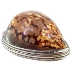 Cowrie shell snuff box with flaming-heart silver relief, George II period