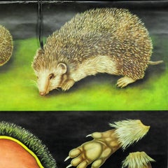 Cozyness Vintage Rollable Wall Chart Poster Hedgehog Jung Koch Quentell Mural