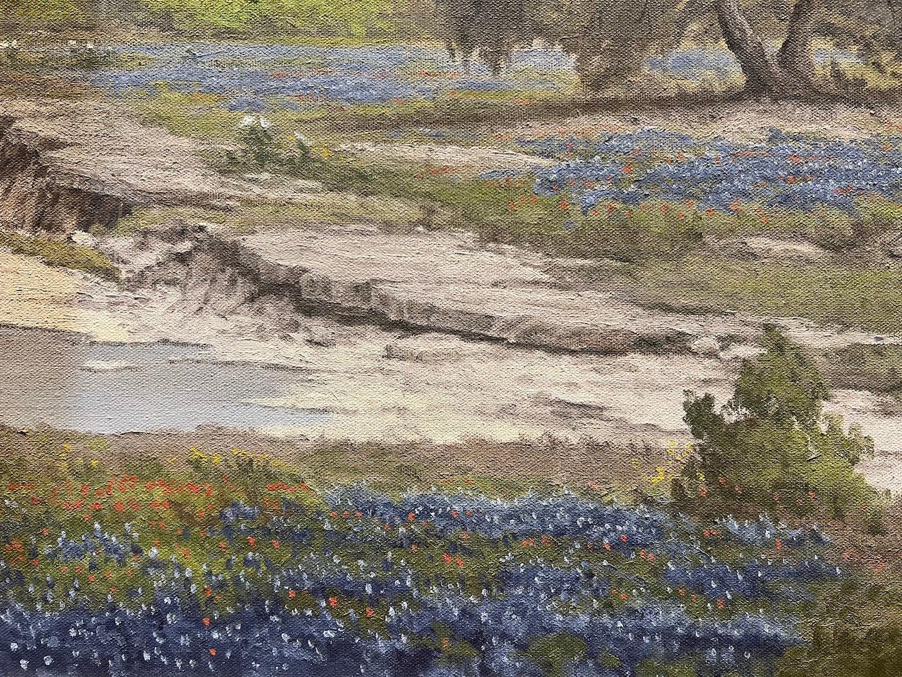 Bluebonnets del Texas 2