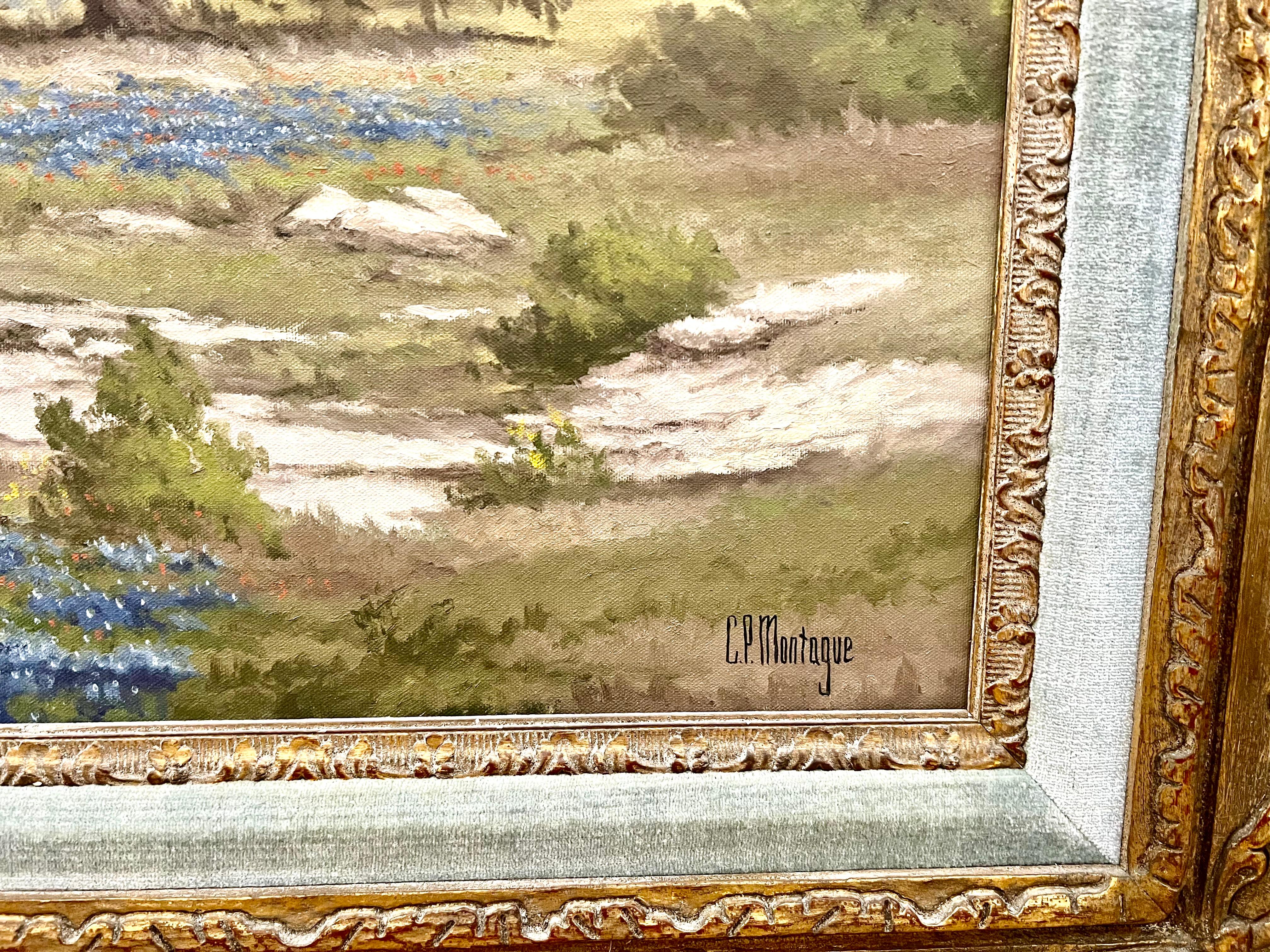 Bluebonnets del Texas 4