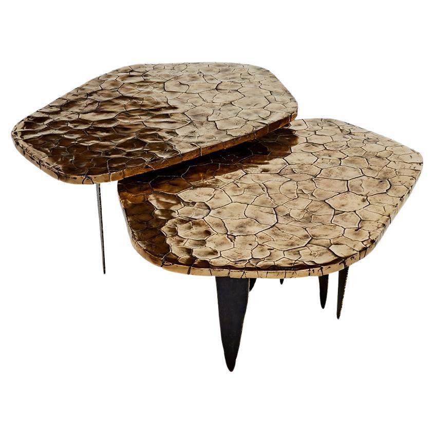 "Crackled Earth" coffee table by Erwan Boulloud For Sale