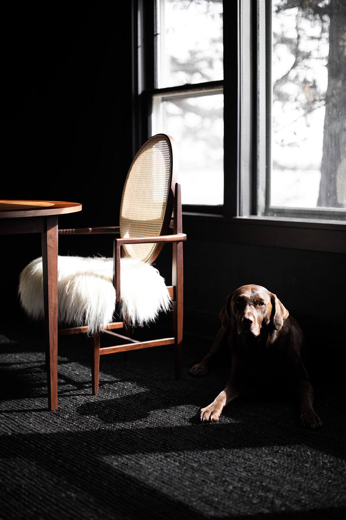 Sheepskin CraftAssociates Arm Chair, Milo Baughman Arm Chair, Walnut, Oval Cane Back For Sale
