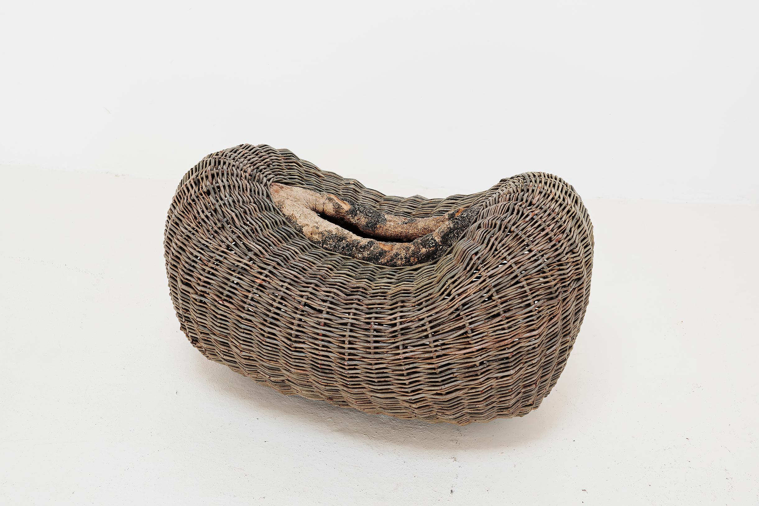 This basket by master basket-maker Joe Hogan showcases his deep understanding between material, craft and place. Using materials grown or found himself, Hogan works with over 20 different varieties of willow, harvesting annually from late November