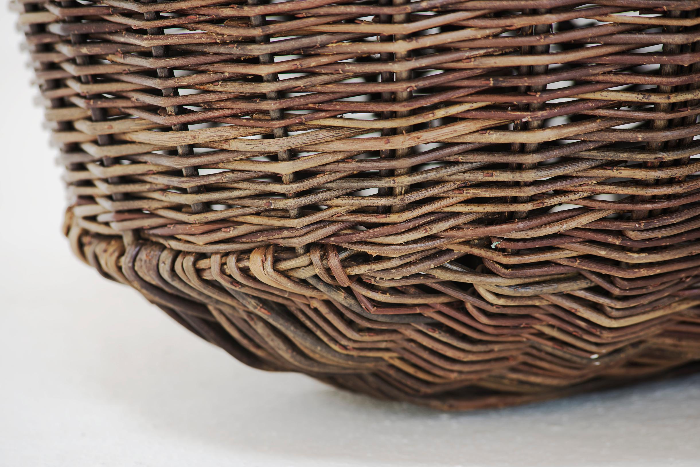 Willow Crafted basket by Joe Hogan, Irland, 2009