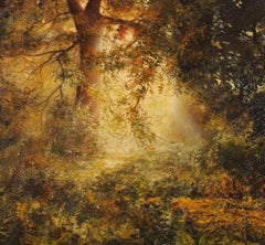 Craig Bone (b.1955) - Framed 20th Century Oil, Sunlight Through Trees