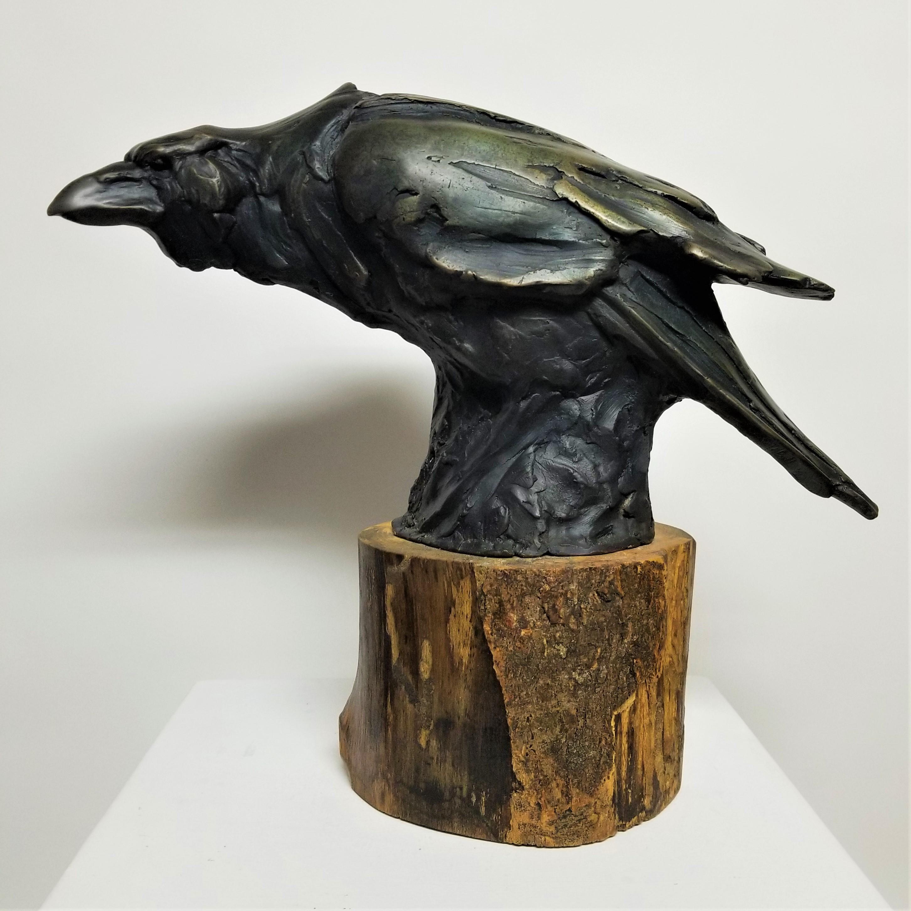 Craig Campbell - The Messenger For Sale 1stDibs | craig campbell sculptor, bronze raven sculpture, craig messenger