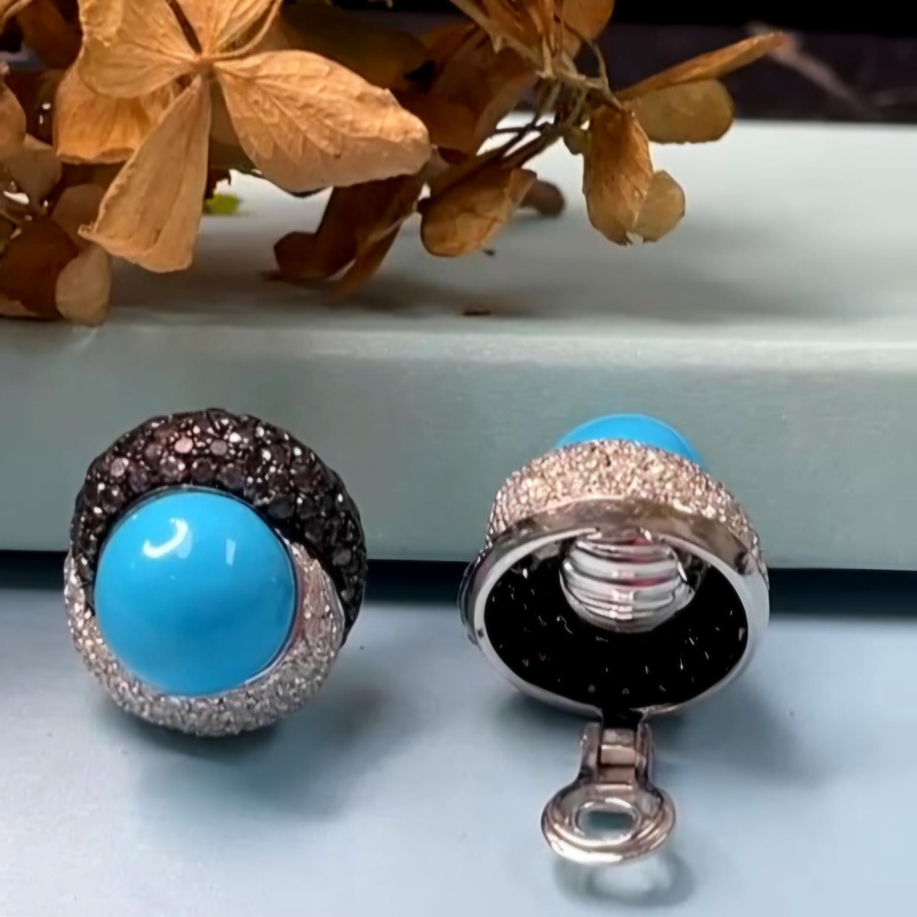 Craig Drake 18k White Gold Turquoise 7.40ct White & Black Diamond Earrings Clips For Sale 12
