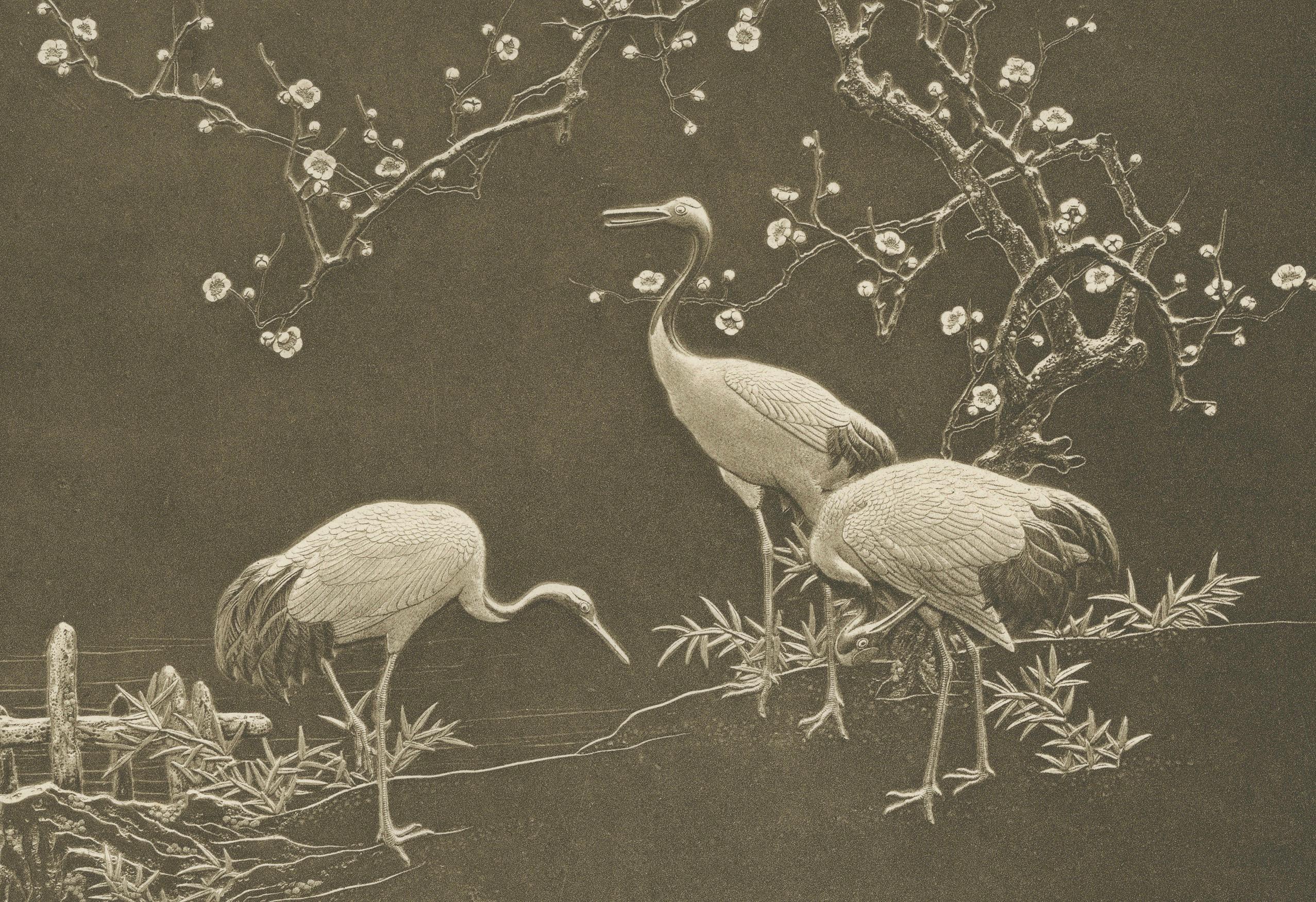Late 19th Century Cranes and Blossoms in a Japanese Ornamental Scene – Heliograph by Audsley 1884 For Sale