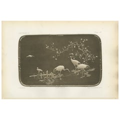 Cranes and Blossoms in a Japanese Ornamental Scene – Heliograph by Audsley 1884