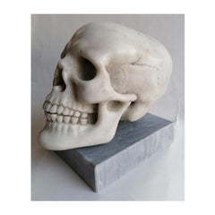 Cranio umano scolpito in marmo bianco Carrara -memento- made in Italy