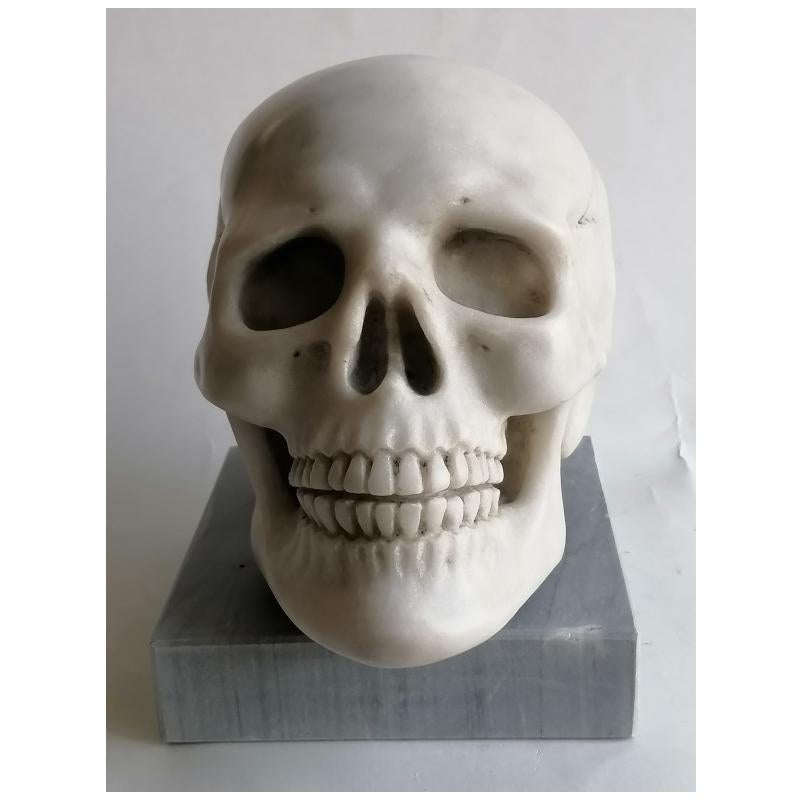 Néo-classique Cranio umano scolpito en marmo bianco Carrara -memento - fabriqué en Italie en vente