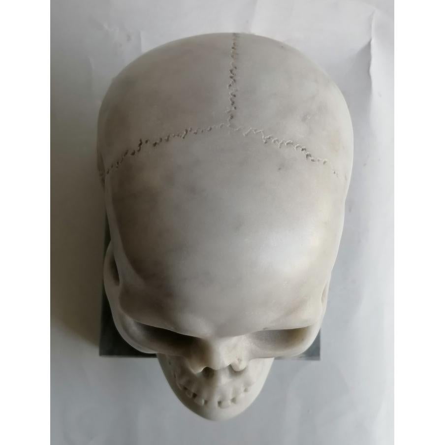 Italian Cranio umano scolpito in marmo bianco Carrara -memento- made in Italy For Sale