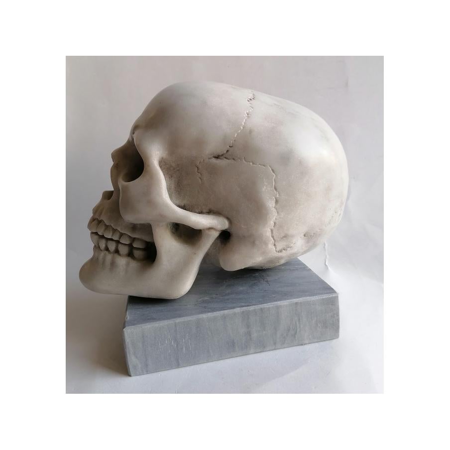 Fait main Cranio umano scolpito en marmo bianco Carrara -memento - fabriqué en Italie en vente