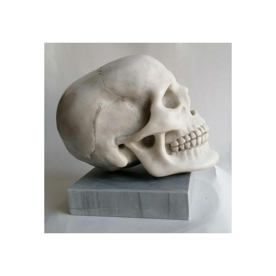 Contemporary Cranio umano scolpito in marmo bianco Carrara -memento- made in Italy For Sale