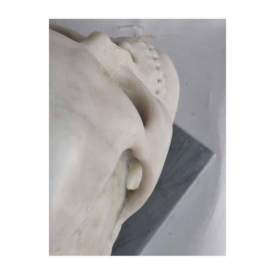 Carrara Marble Cranio umano scolpito in marmo bianco Carrara -memento- made in Italy For Sale