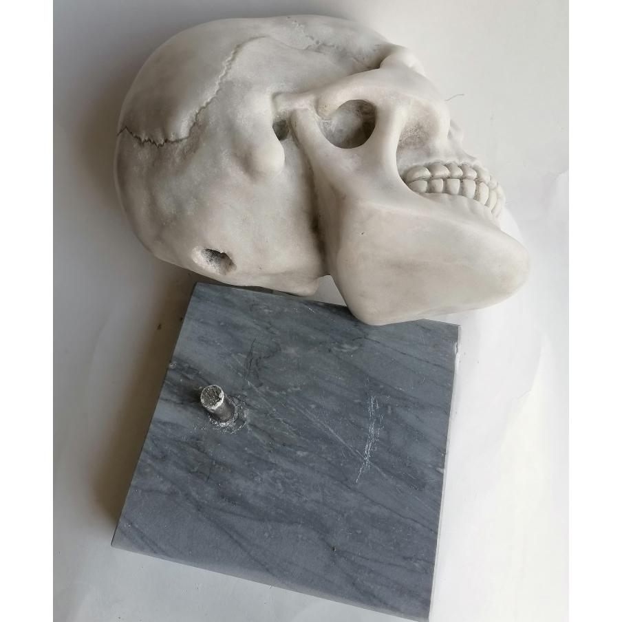 Cranio umano scolpito in marmo bianco Carrara -memento- made in Italy For Sale 1