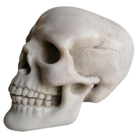 Cranio umano scolpito en marmo bianco Carrara -memento - fabriqué en Italie