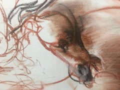 Crazy Horse, Pencil Fat by Giuseppe Colin, 1990