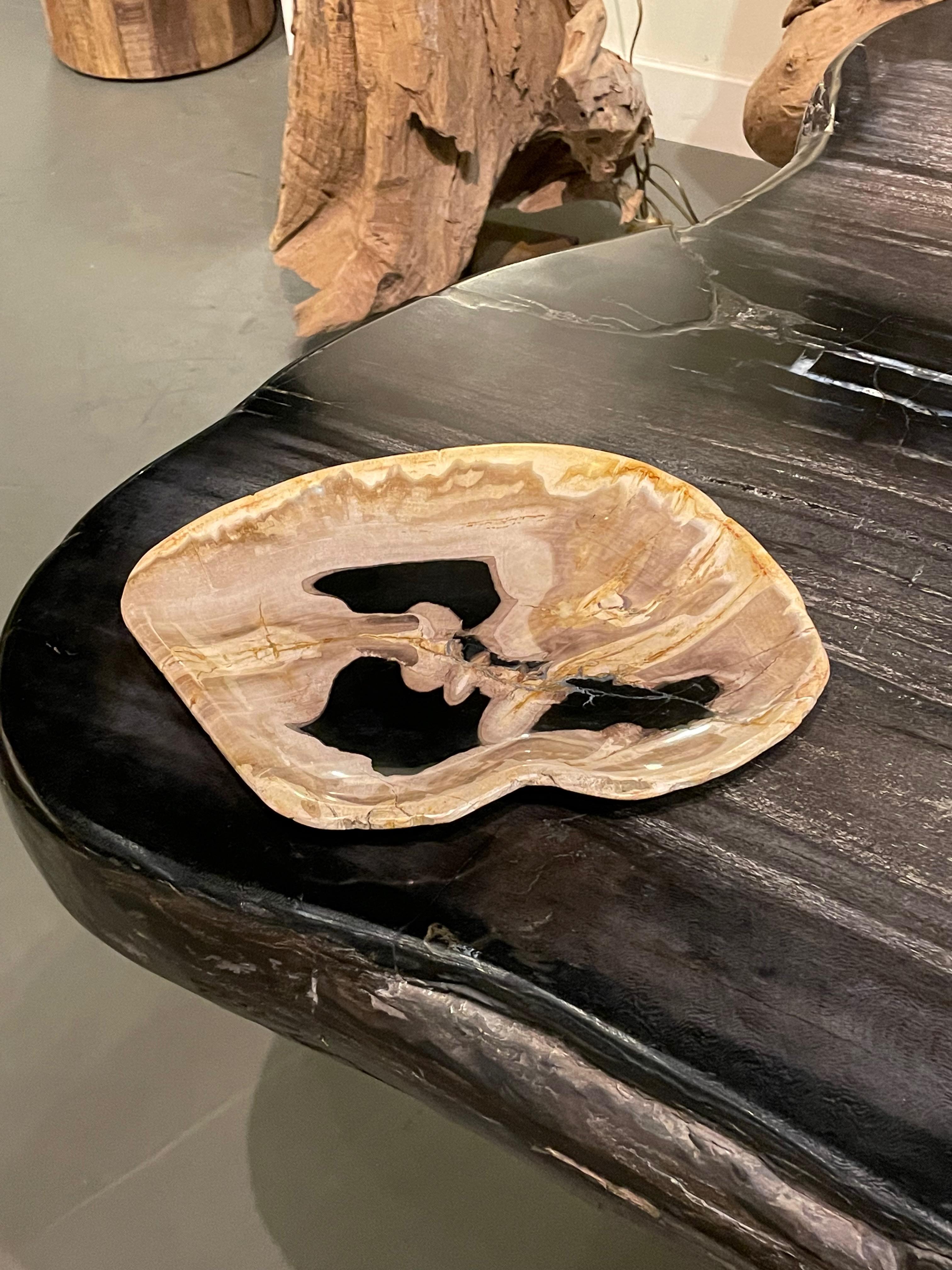 Prehistoric Indonesian polished petrified wood plate.
Black, cream and beige in color.
From a large collection of plates, trays and bowls.