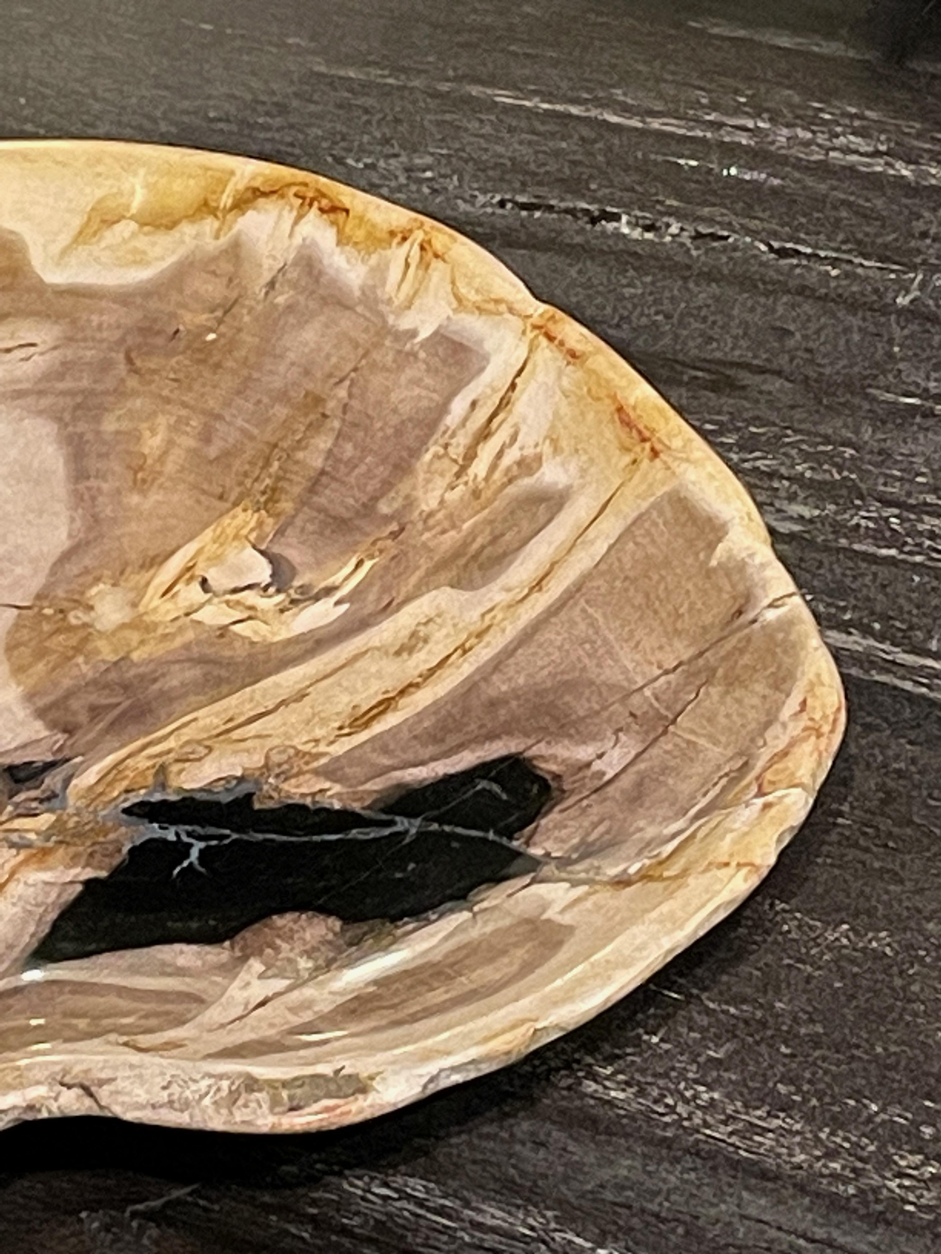Cream, Black and Beige Petrified Wood Plate, Indonesian, Prehistoric In Good Condition For Sale In New York, NY