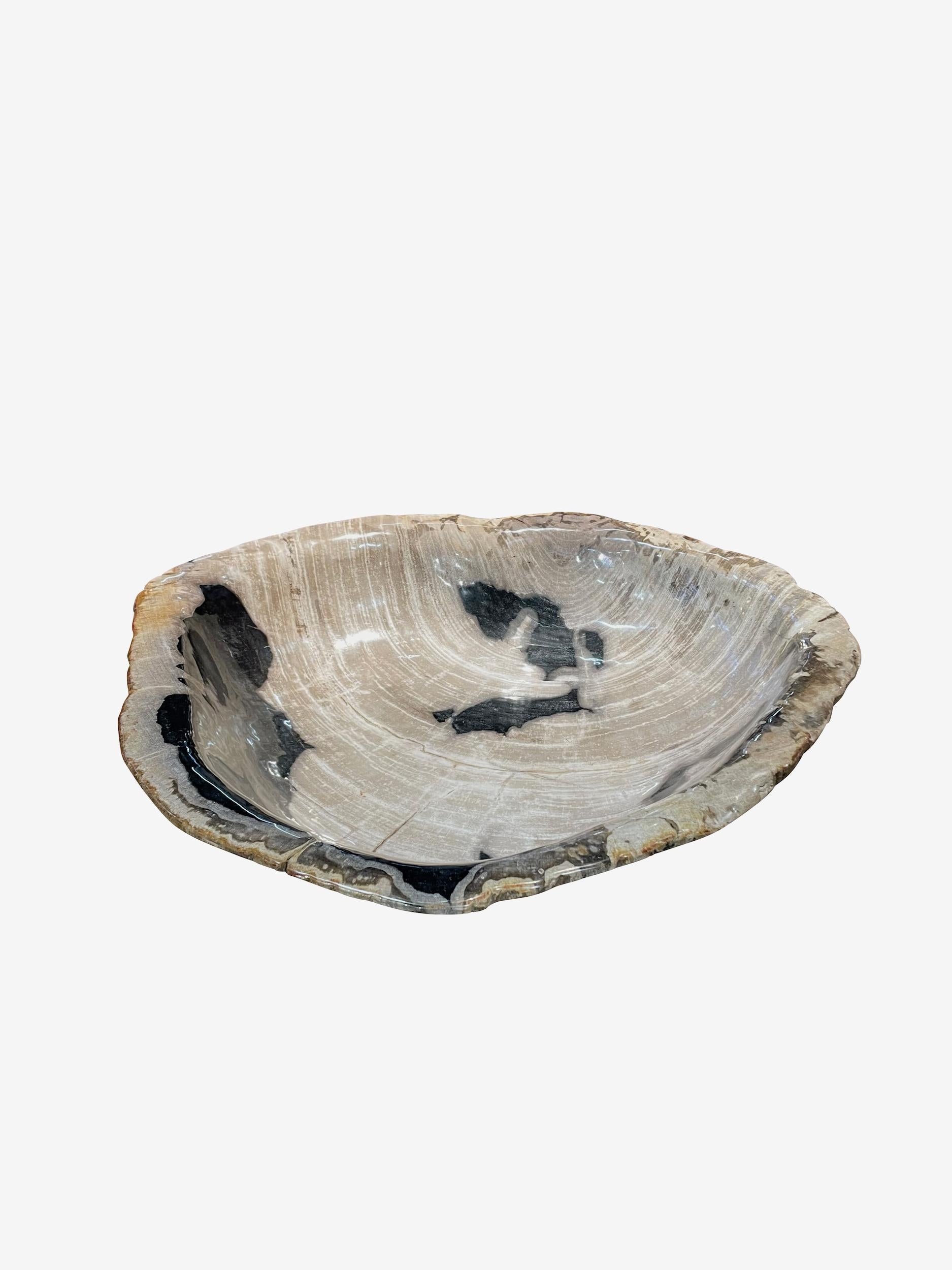 Contemporary Indonesian large petrified wood bowl.
Free form organic in shape.
Cream, black, and taupe in color.
Polished.
From a large collection of bowls, plates and platters.
          