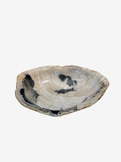 Cream, Black and Taupe freeform Petrified Wood Bowl, Indonesia, Contemporary