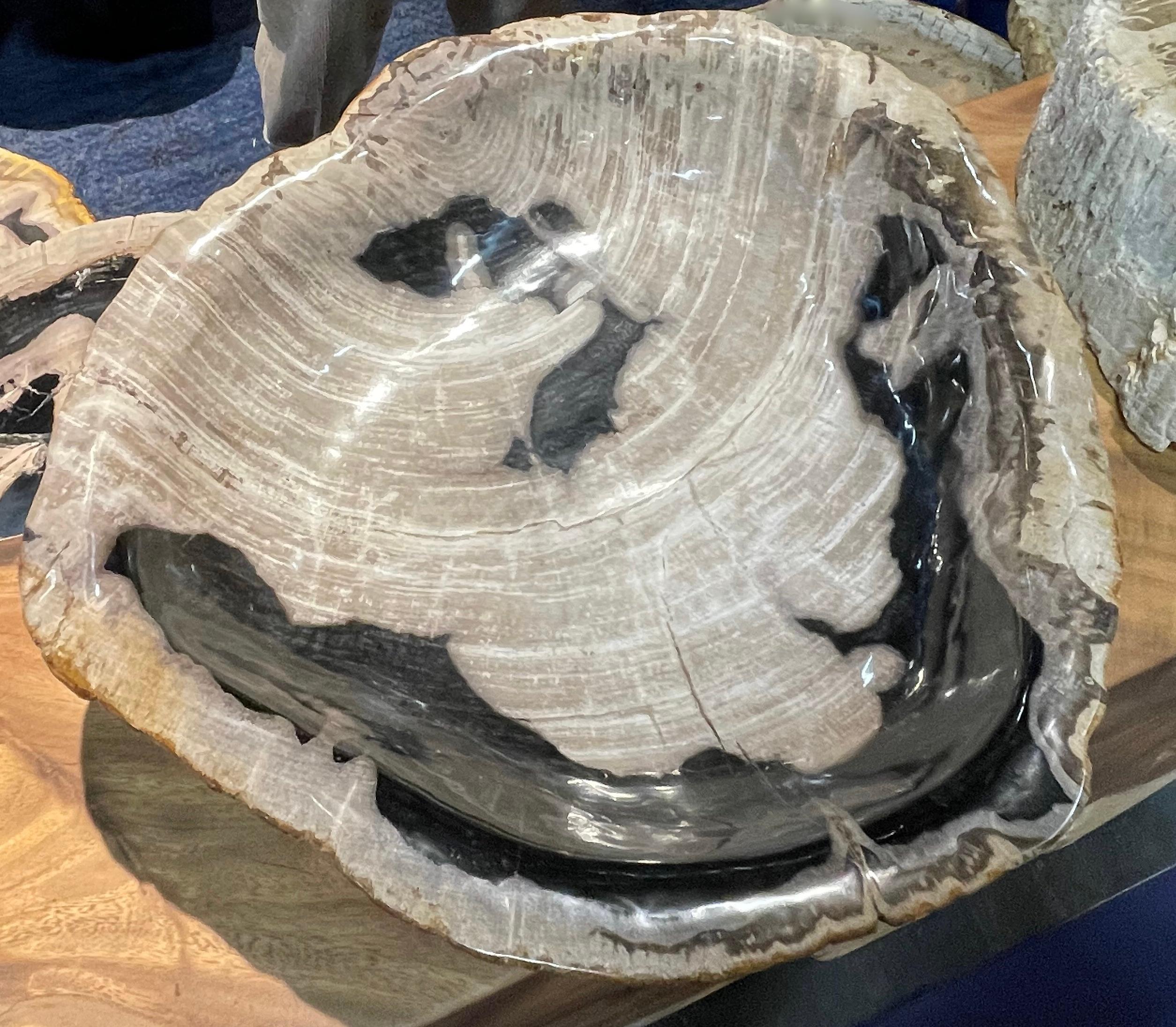 Cream, Black and Taupe freeform Petrified Wood Bowl, Indonesia, Contemporary In New Condition In New York, NY