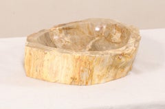 Cream, Tan and Beige Polished Petrified Wood Sink