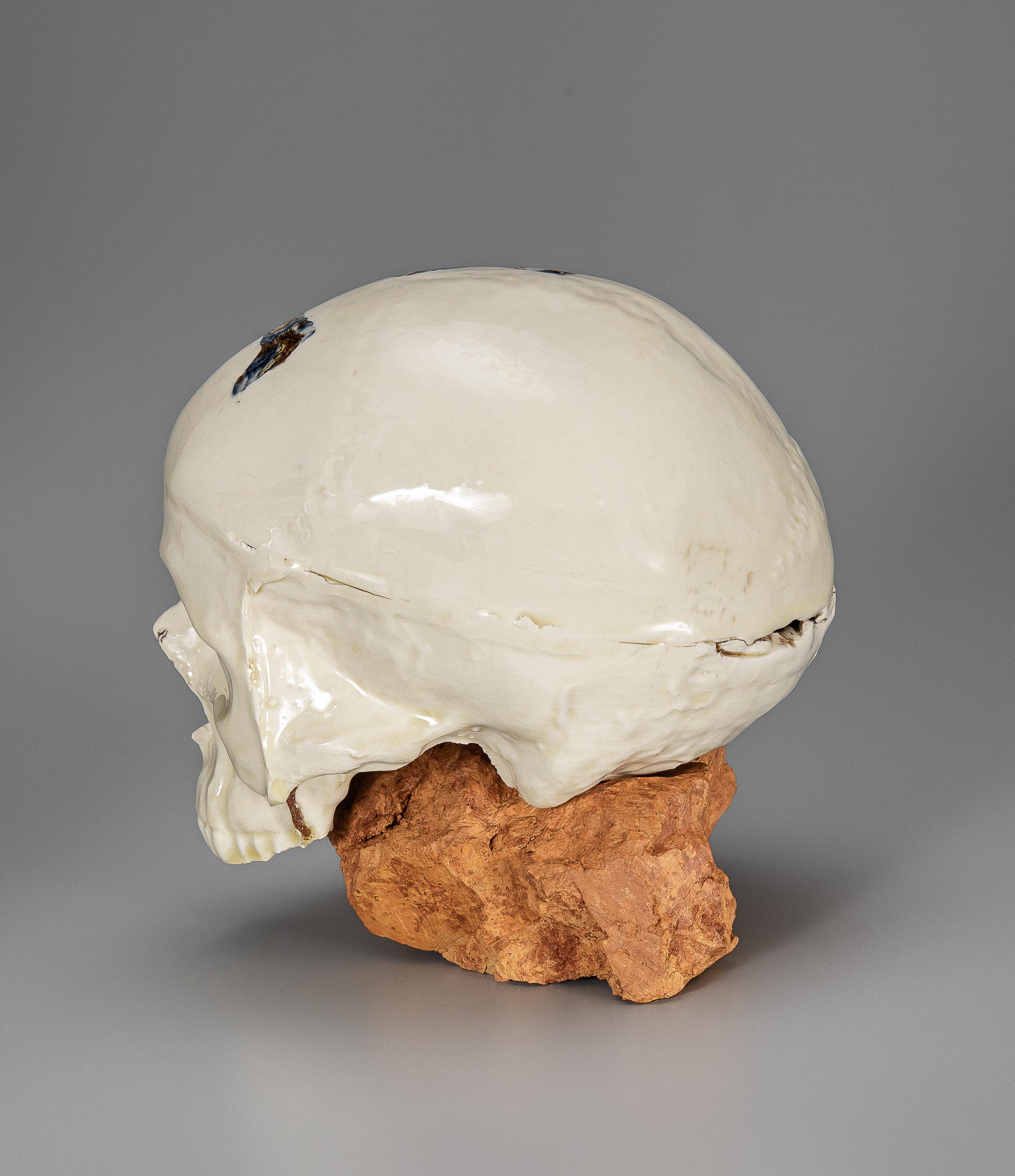 Modern Michelle Erickson Ceramic Art Creamware Agate Skull earthenware and London clay For Sale