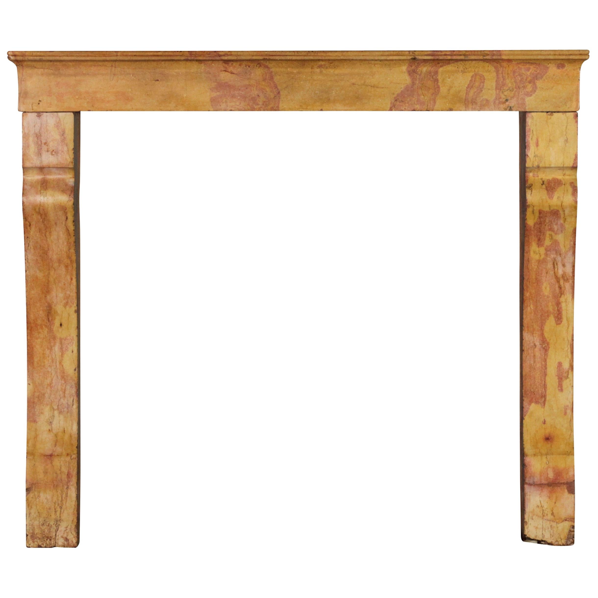 Created by Nature French 19th Century Vintage Fireplace Surround