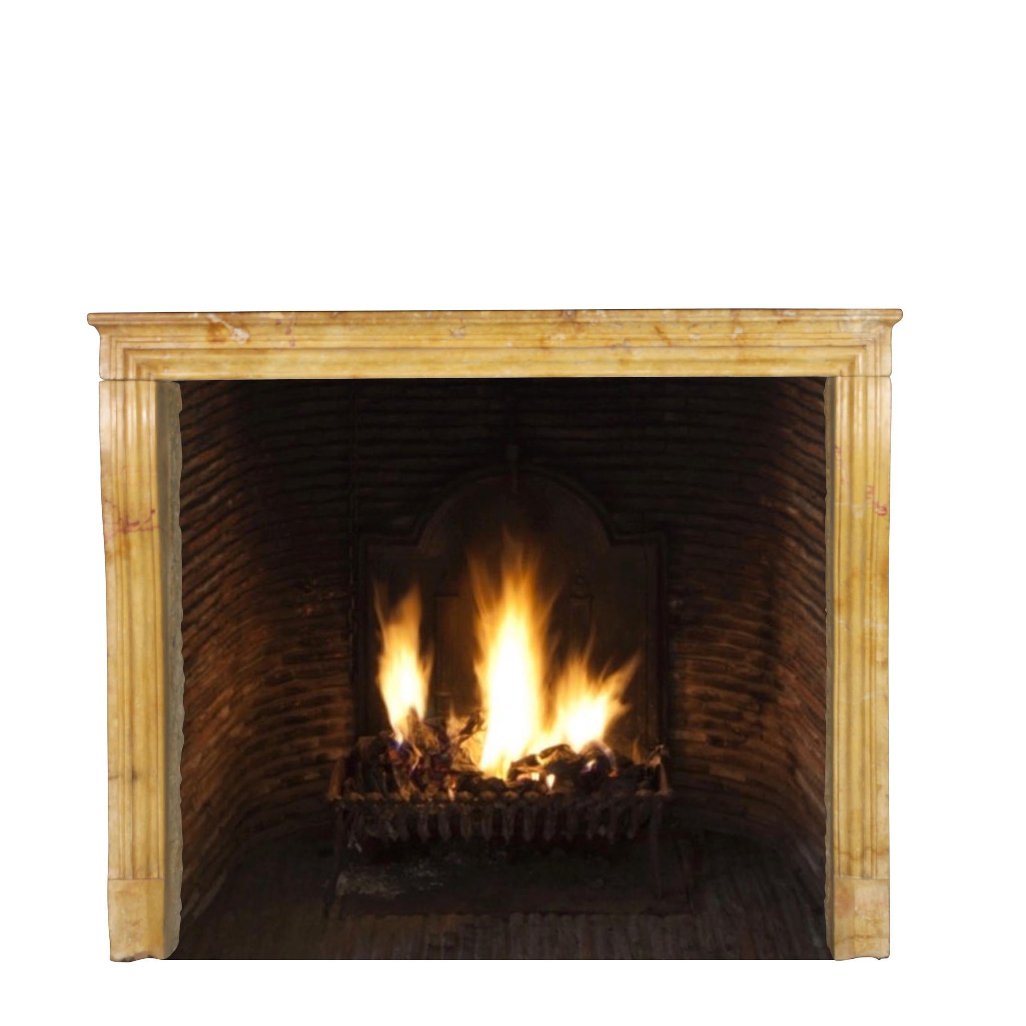 Created by Nature French Vintage Fireplace Surround in Limestone For Sale 6