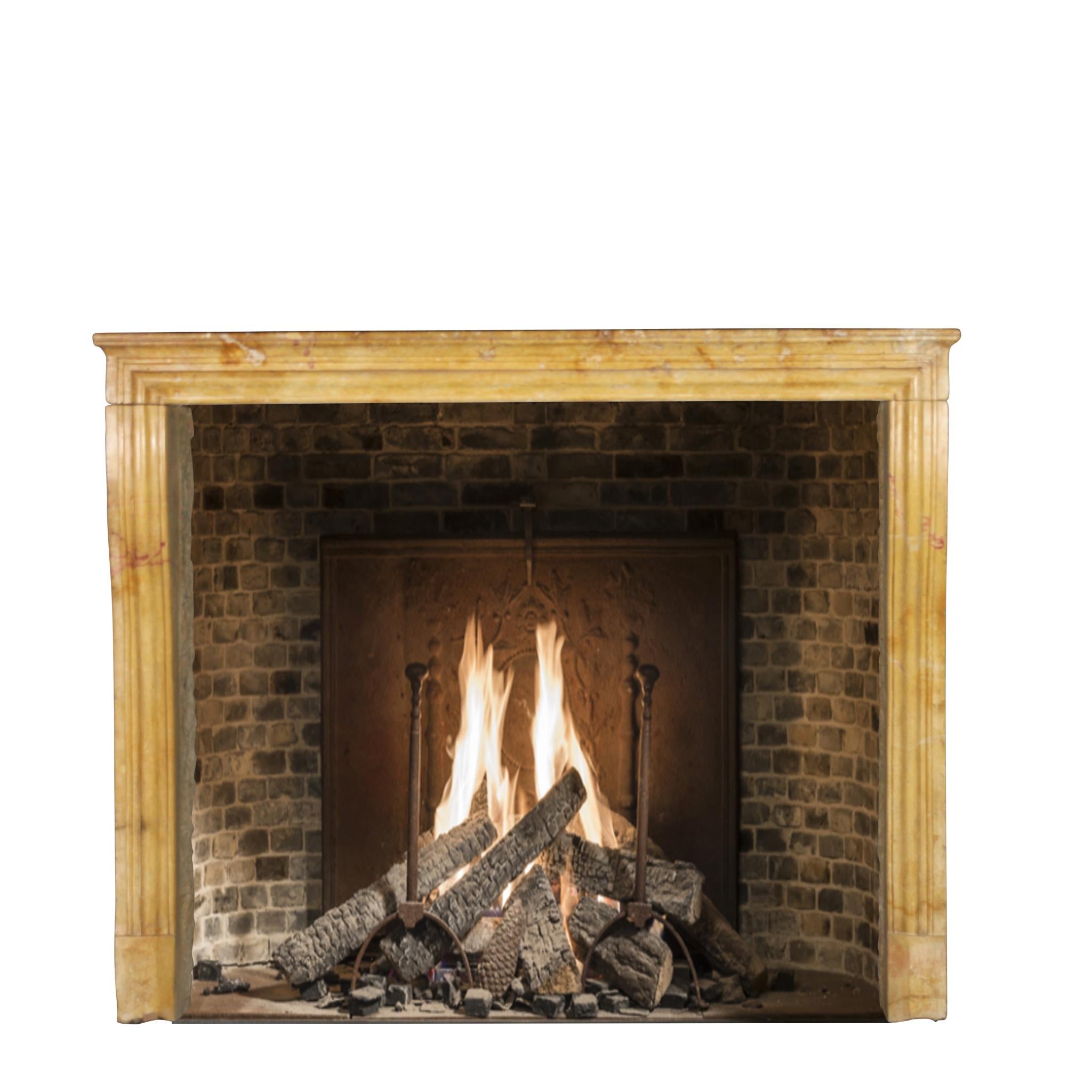 Created by Nature French Vintage Fireplace Surround in Limestone For Sale 7