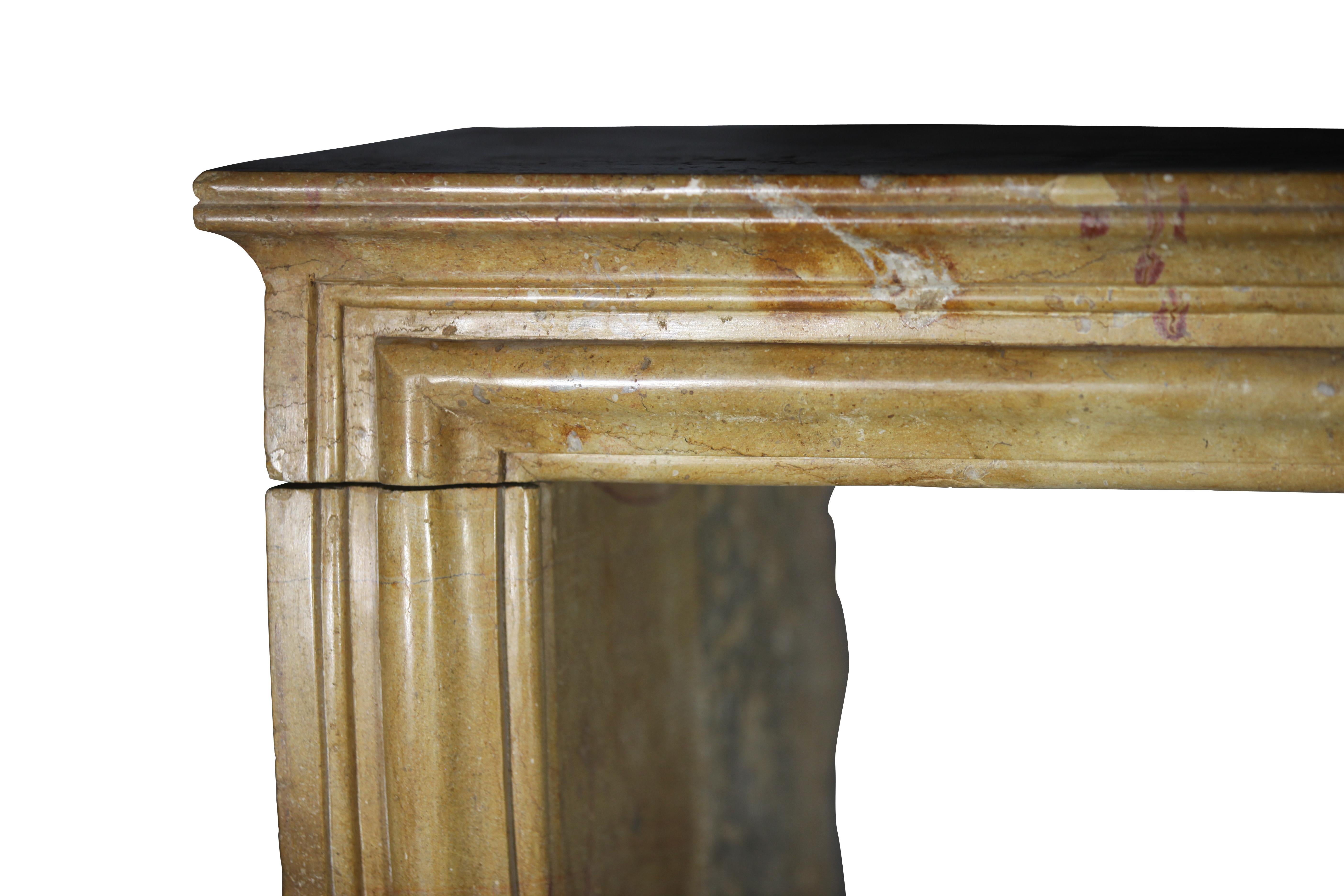Louis XIV Created by Nature French Vintage Fireplace Surround in Limestone For Sale