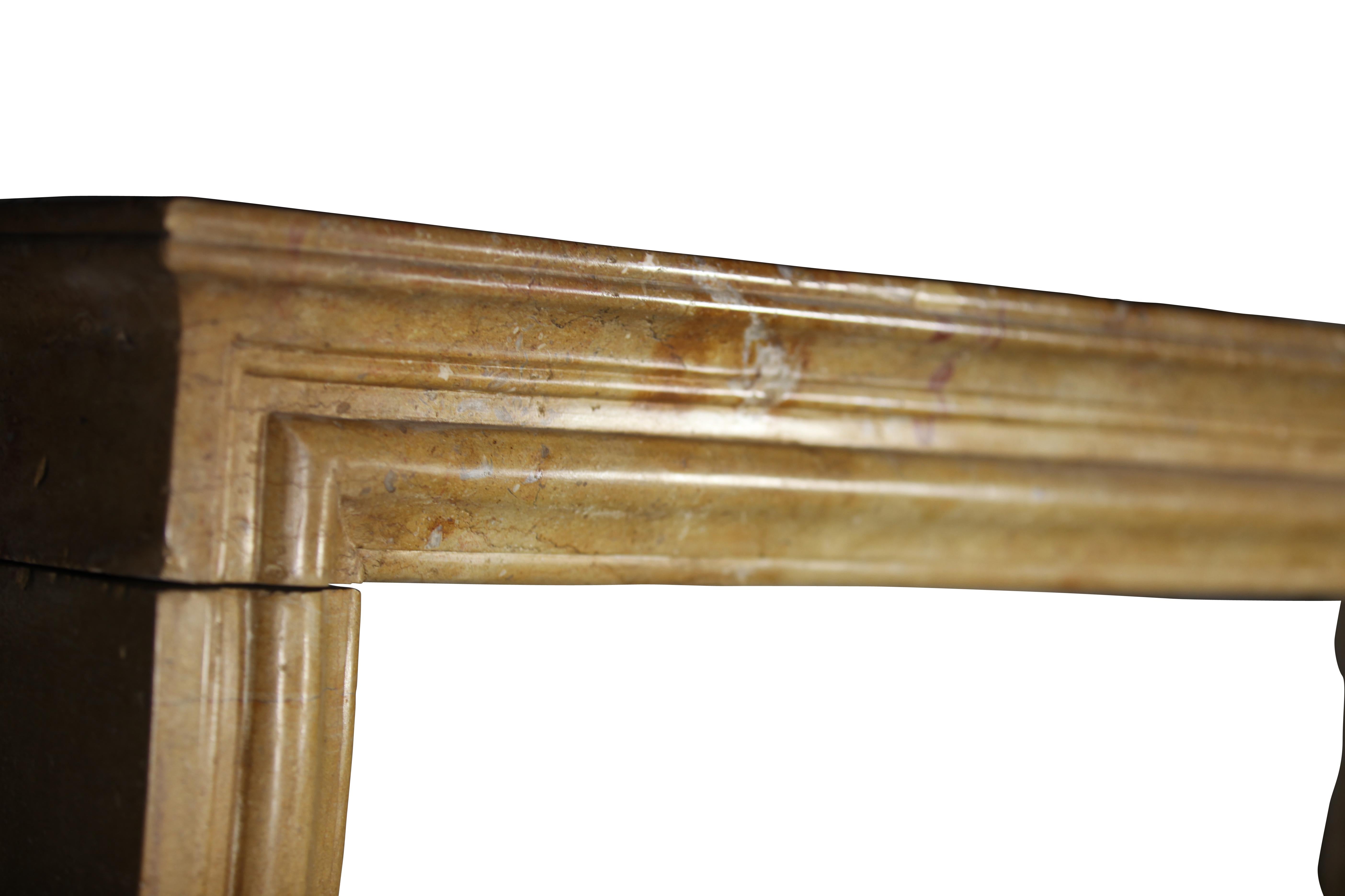 Hand-Carved Created by Nature French Vintage Fireplace Surround in Limestone For Sale