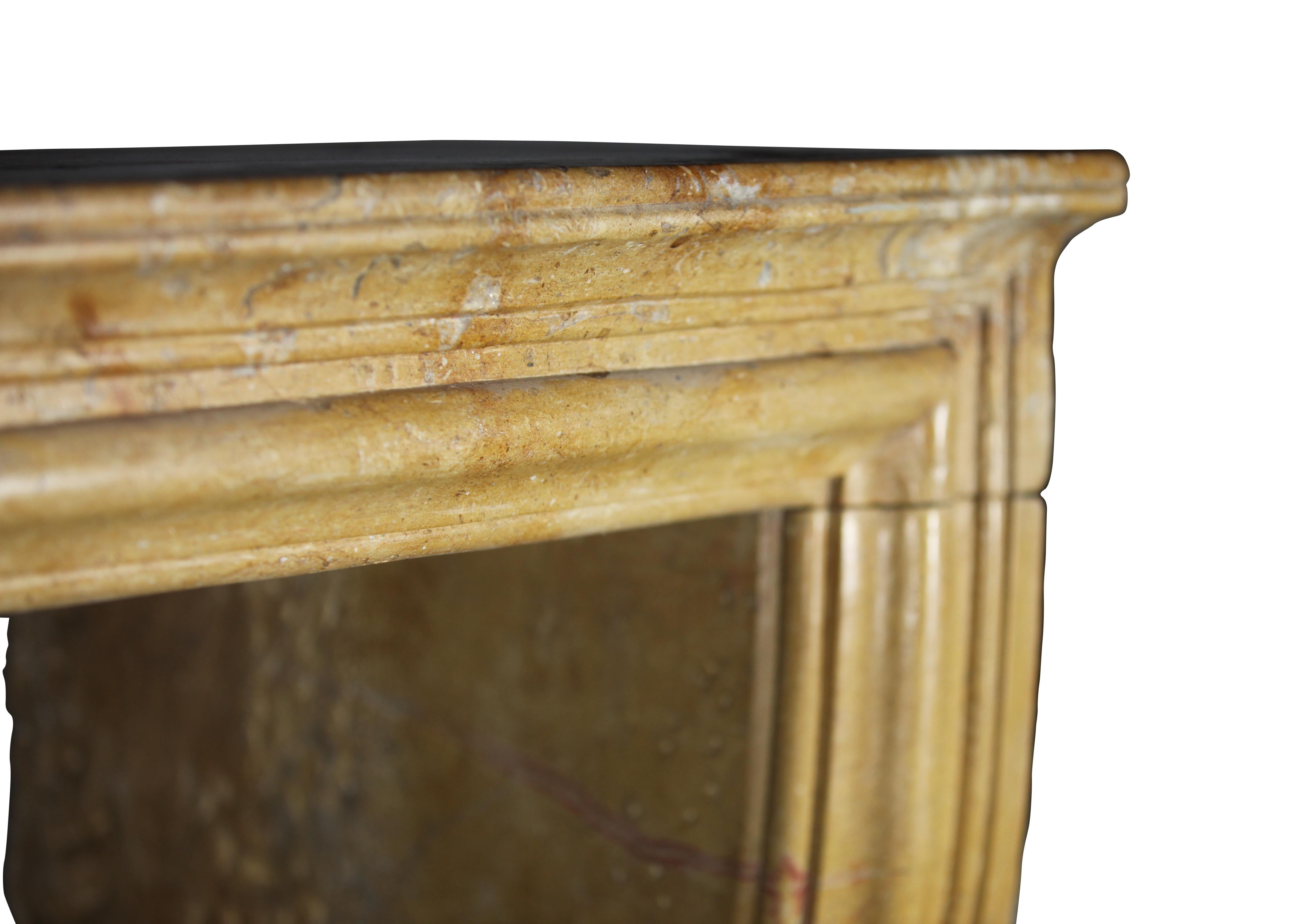 Created by Nature French Vintage Fireplace Surround in Limestone For Sale 1