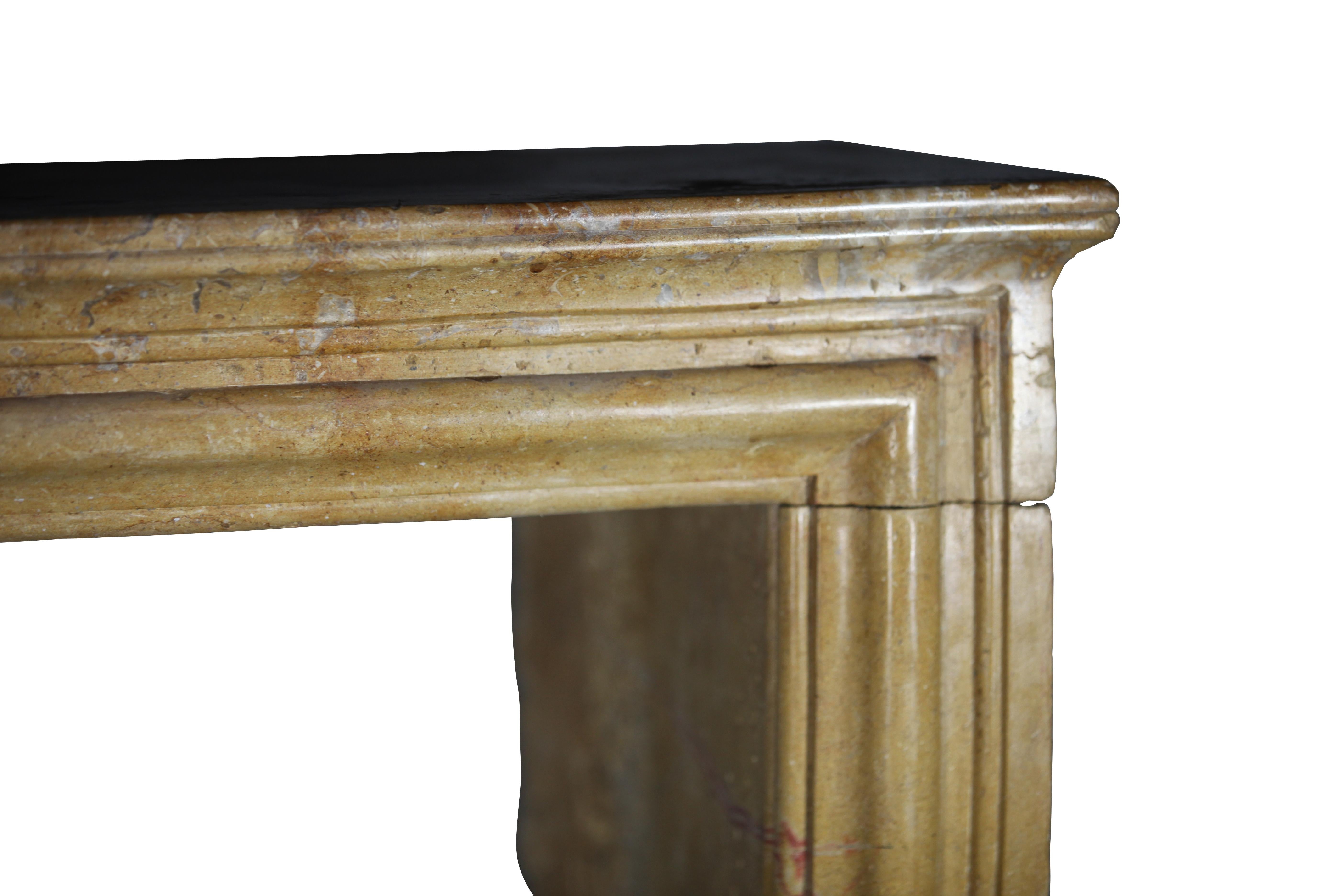 Created by Nature French Vintage Fireplace Surround in Limestone For Sale 2