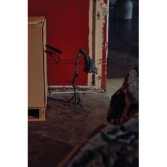 Creature Lamp by Michael Gittings