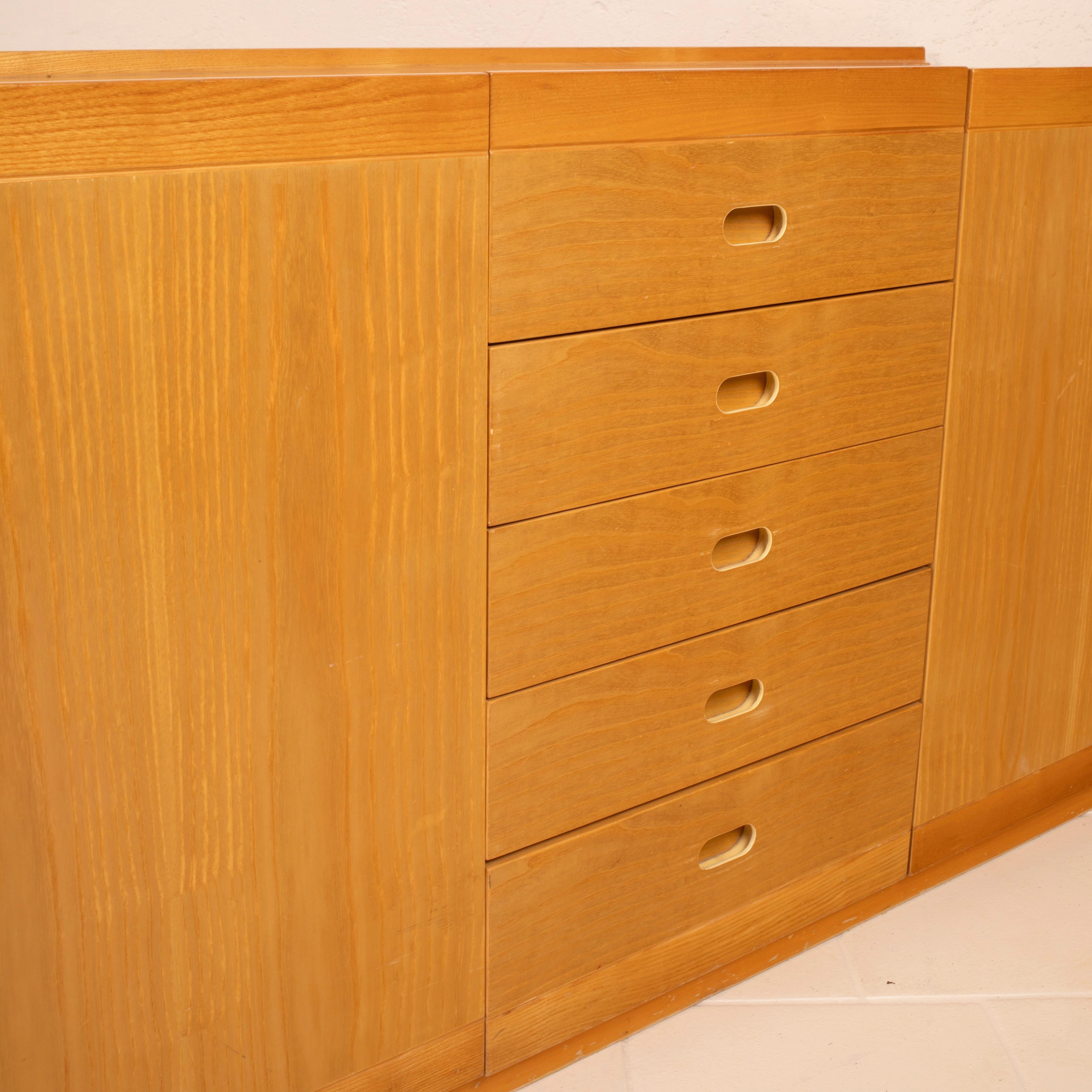 Italian Mid Century Modern Sideboard Tito Agnoli for Molteni For Sale 3