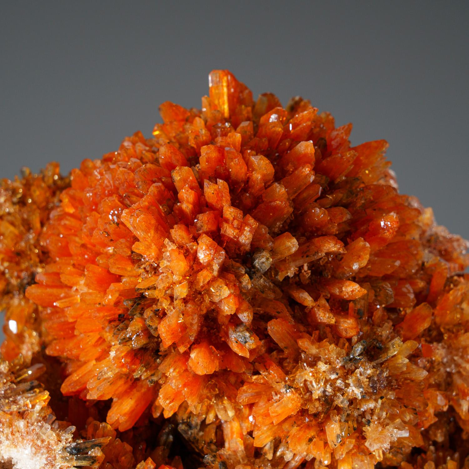 From Mina Navidad, 19 km northwest of Abasolo, Durango, Mexico

Lustrous transparent colorless spherical clusters of radiating orange creedite crystals. The creedite crystals are transparent, with orange inclusions that give them color, and have
