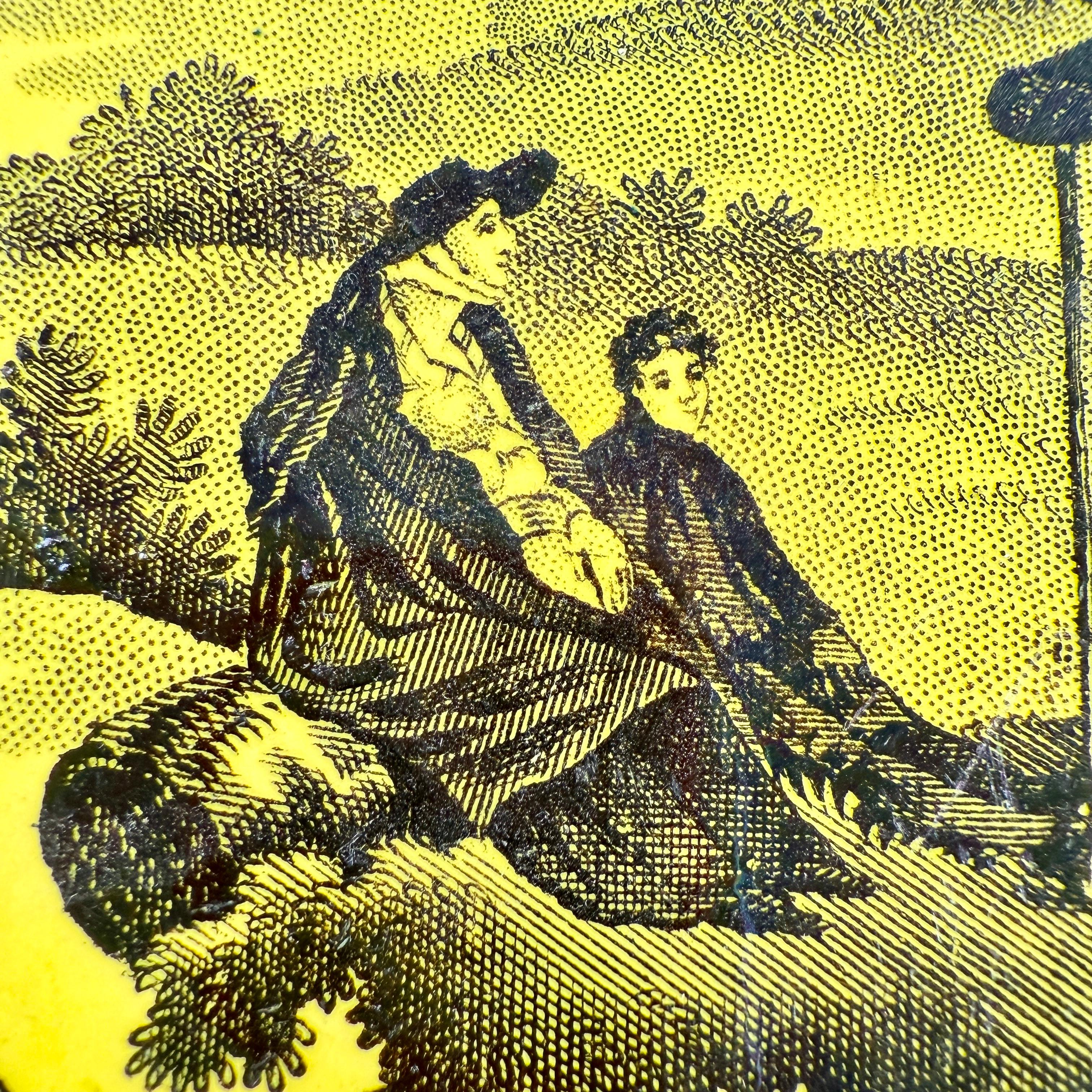 Creil et Montereau Vaisselle à transfert jaune canari Assiettes Famille avec chien fleuri, set en vente 2
