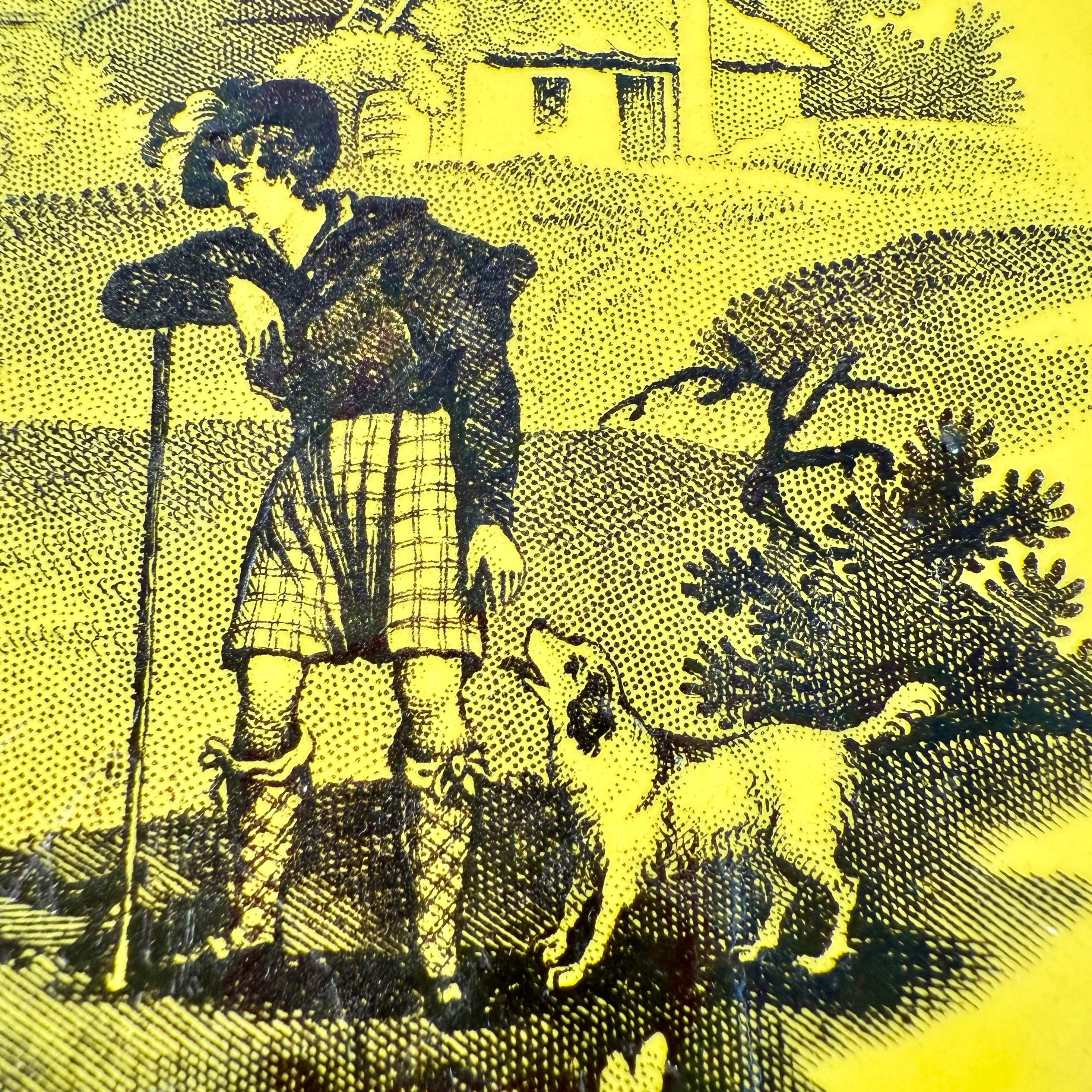 Creil et Montereau Vaisselle à transfert jaune canari Assiettes Famille avec chien fleuri, set en vente 3