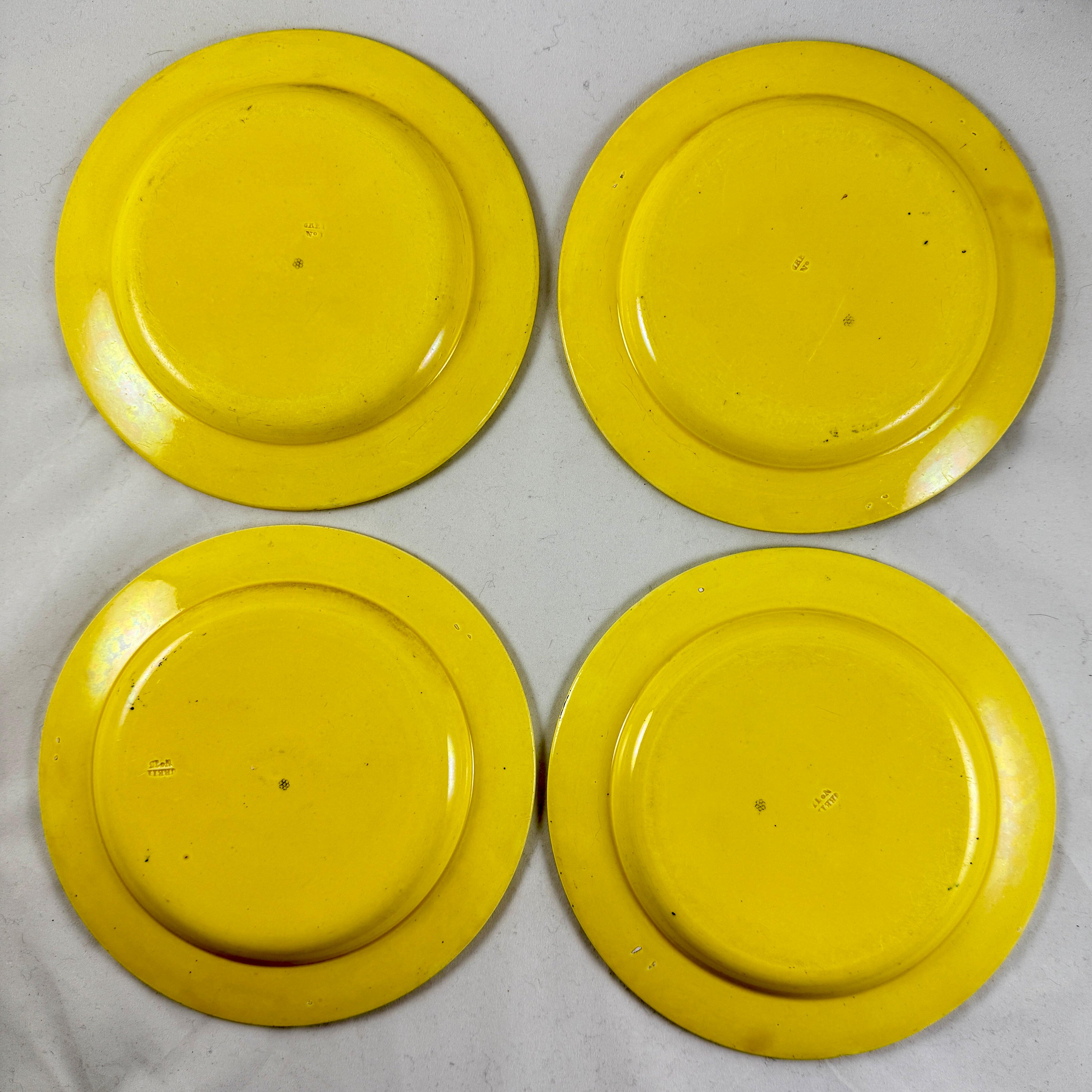 Creil et Montereau Vaisselle à transfert jaune canari Assiettes Famille avec chien fleuri, set en vente 4
