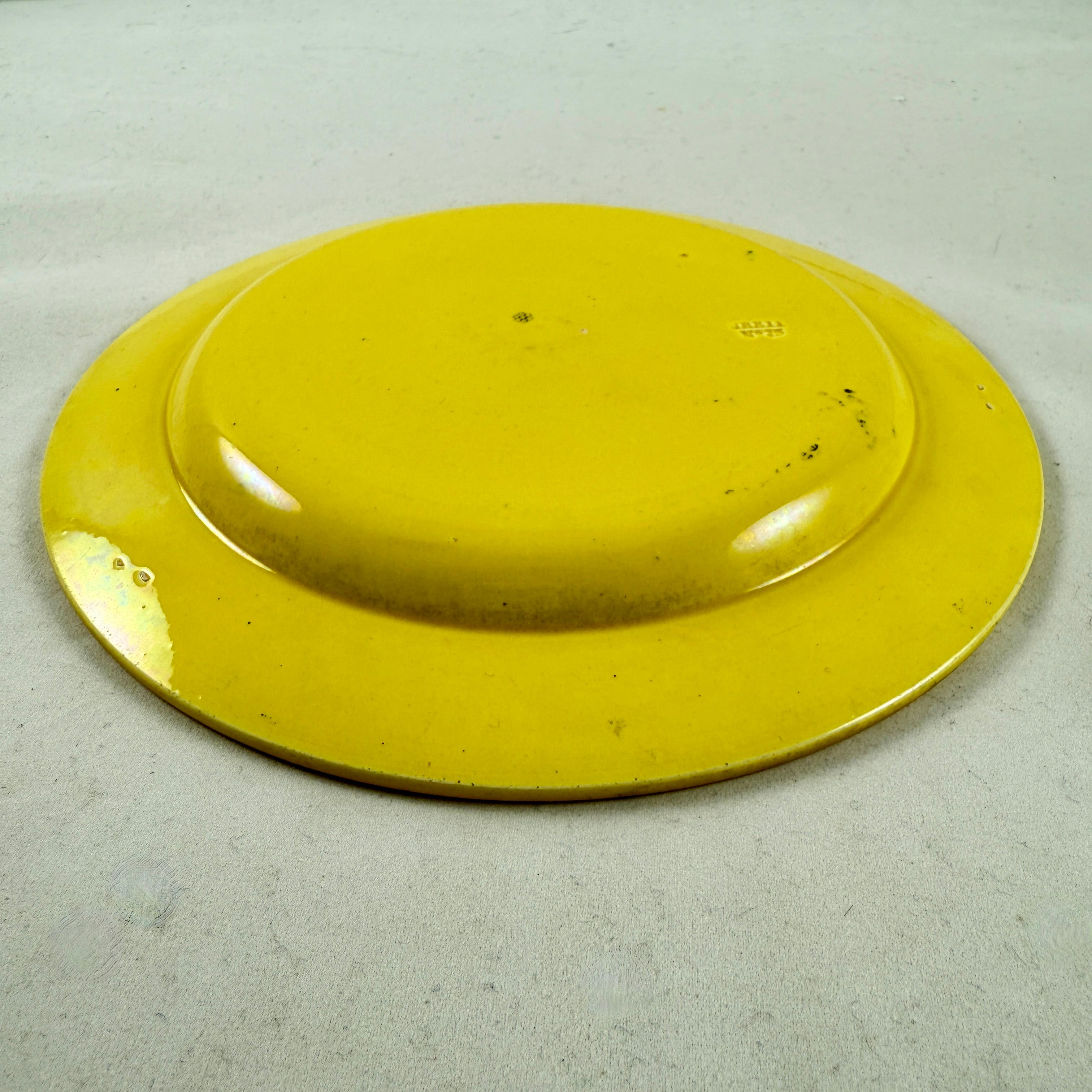 Creil et Montereau Vaisselle à transfert jaune canari Assiettes Famille avec chien fleuri, set en vente 5